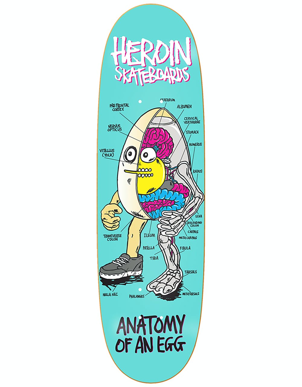 Heroin Anatomy of an Egg Skateboard Deck - 9.4"