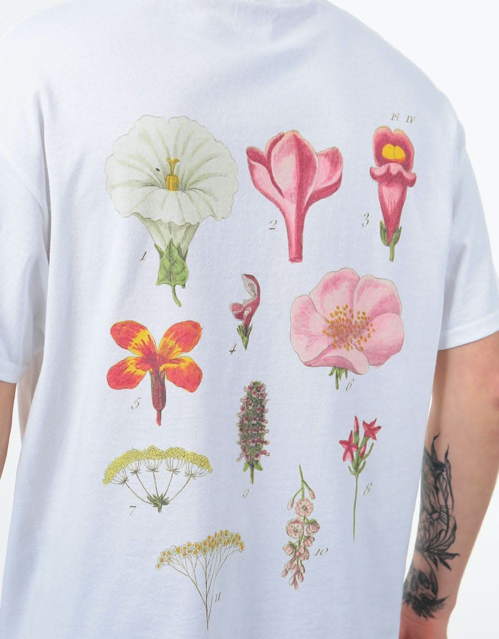 Route One Flora T-Shirt - White