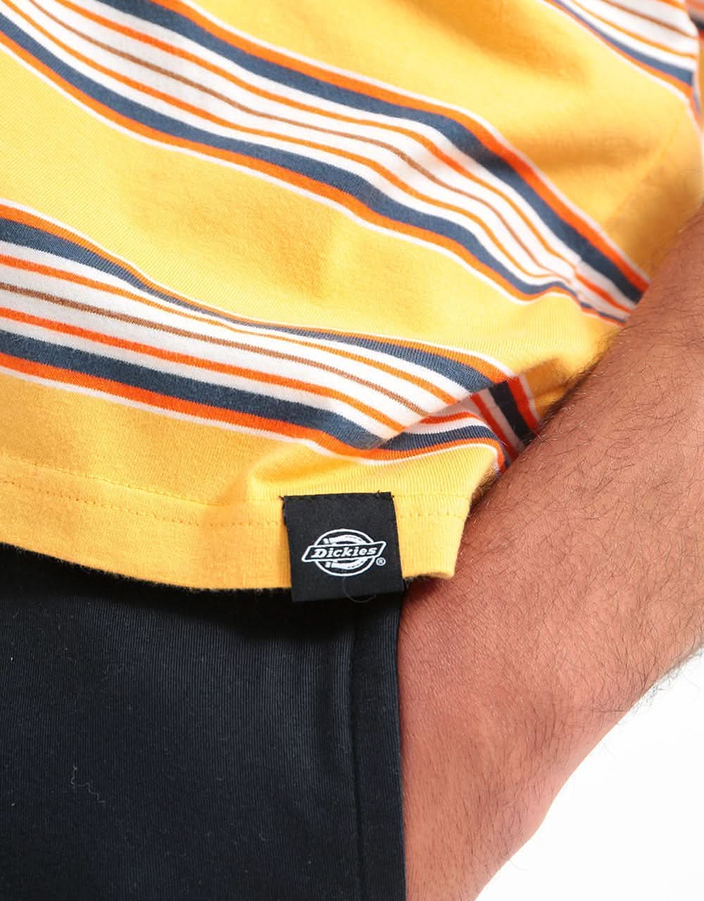 Dickies Lithia Springs T-Shirt - Apricot