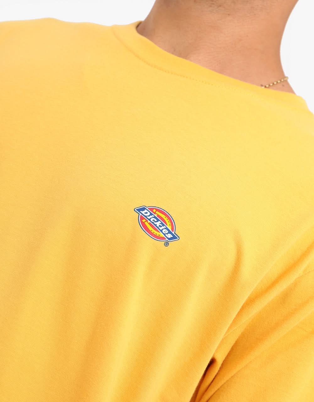 Dickies Stockdale T-Shirt - Apricot
