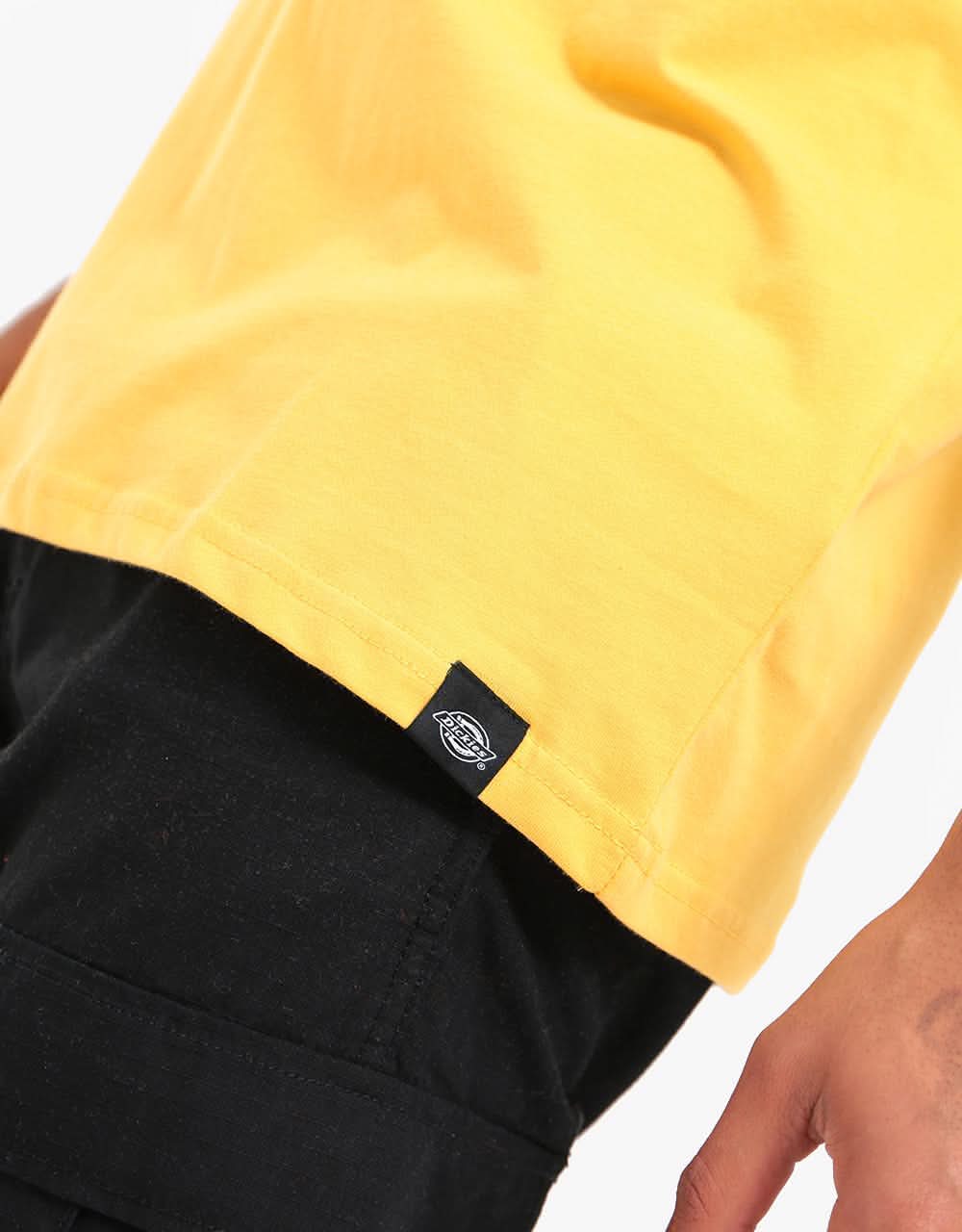 Dickies Stockdale T-Shirt - Apricot