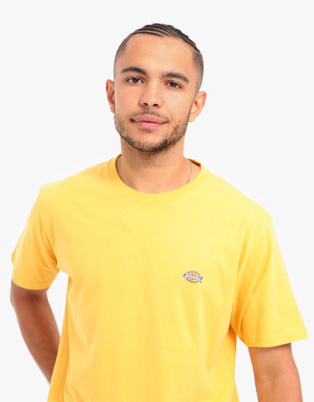 Dickies Stockdale T-Shirt - Apricot