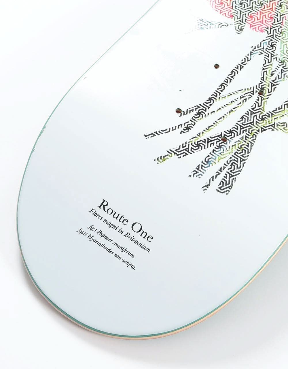 Route One Botany Skateboard Deck - 8"