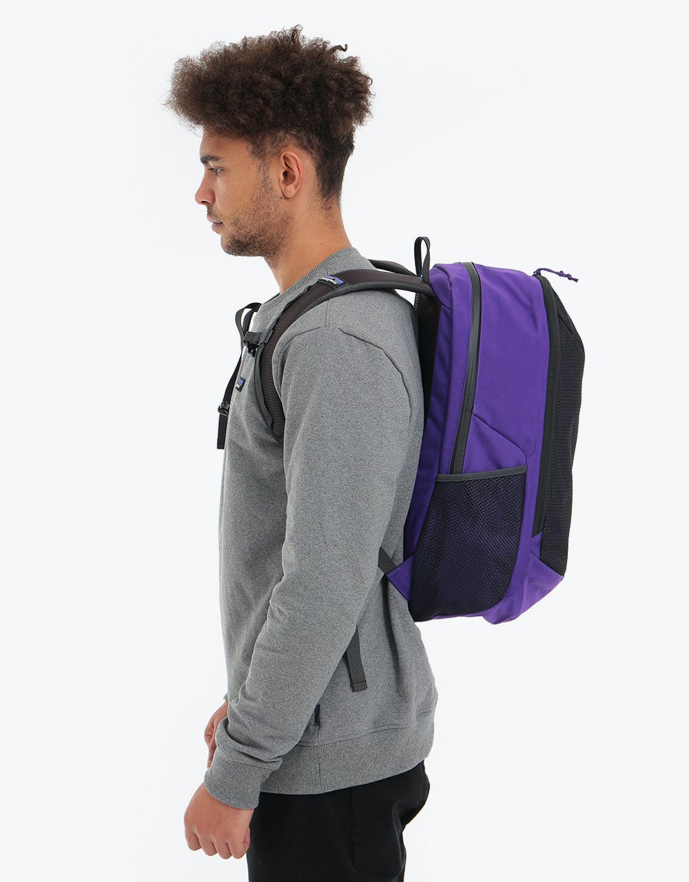 Patagonia Planing Divider Pack 30L Backpack - Purple