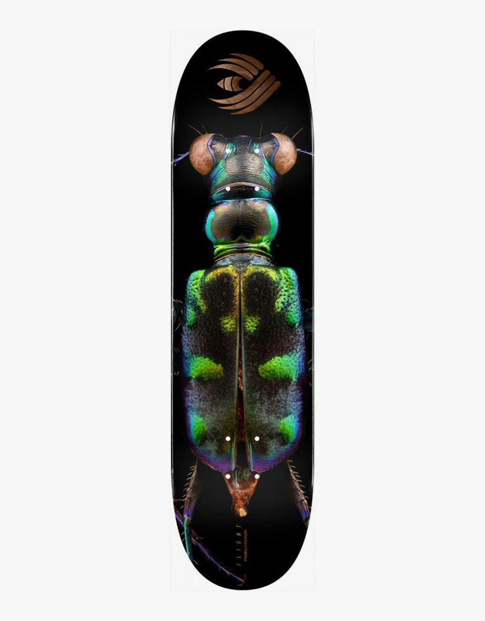 Powell Peralta LB Tiger Beetle Flight 248 Skateboard Deck - 8.25"