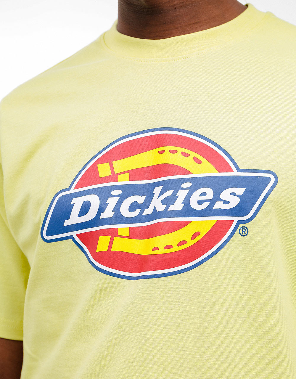Dickies Icon Logo T-Shirt -  Mellow Green