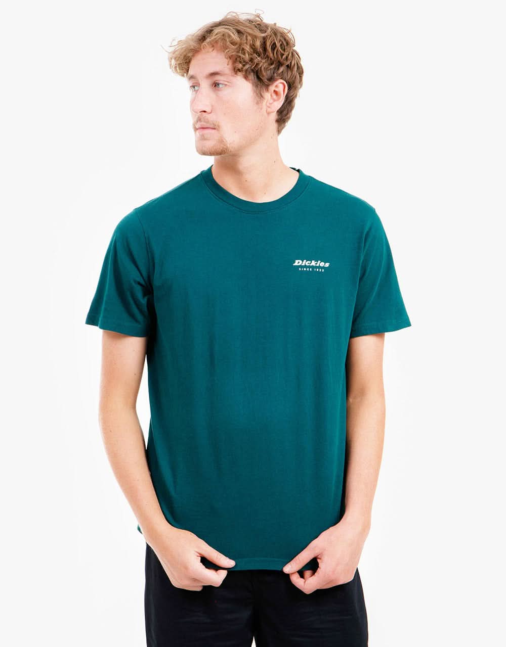Dickies Reworked T-Shirt - Ponderosa Pine