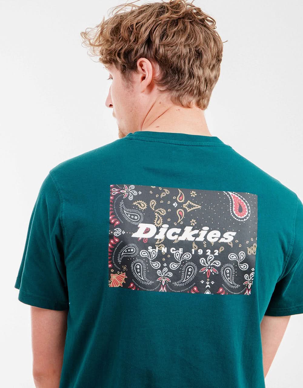 Dickies Reworked T-Shirt - Ponderosa Pine