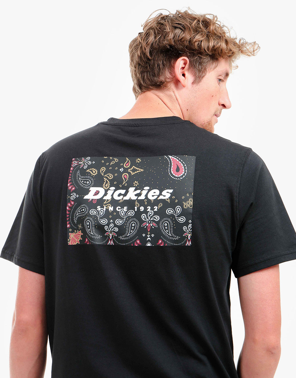 Dickies Reworked T-Shirt - Black