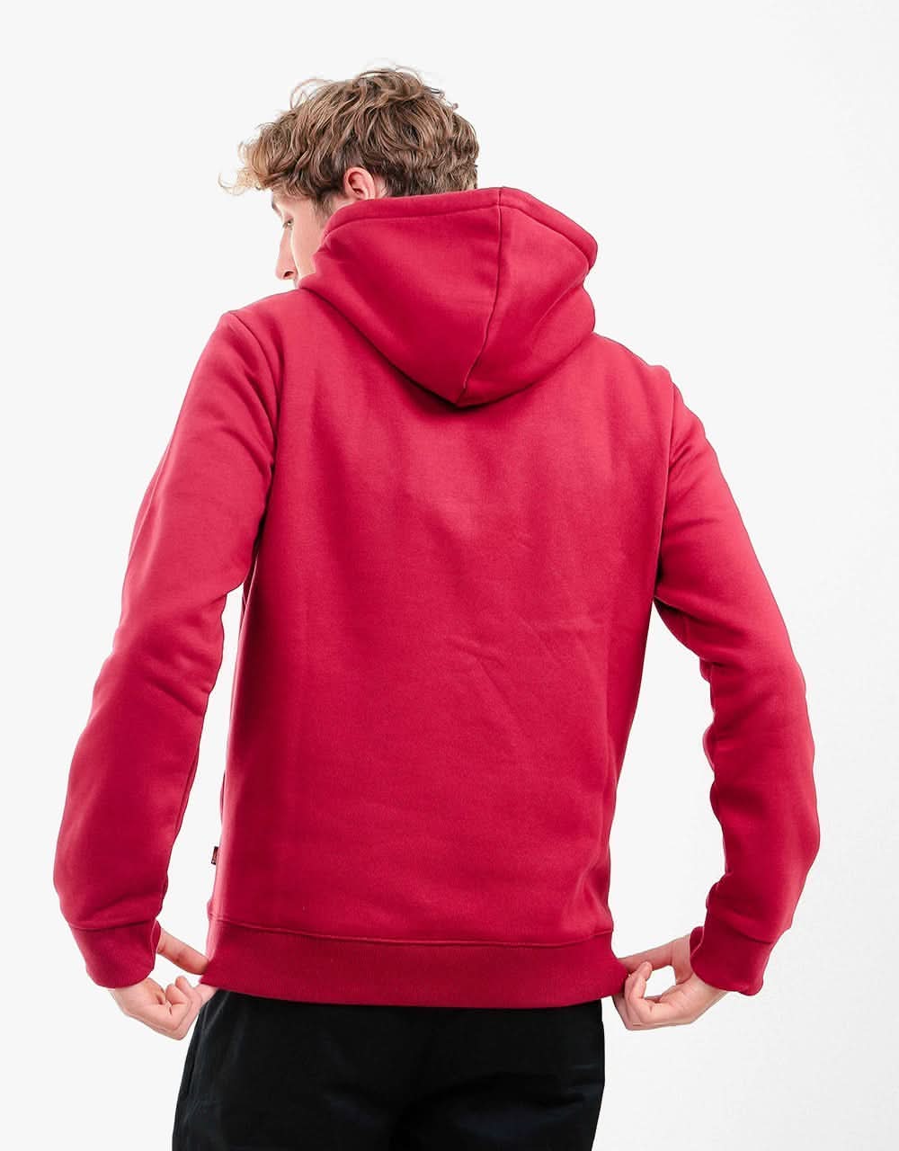 Dickies Icon Logo Pullover Hoodie - Biking Red
