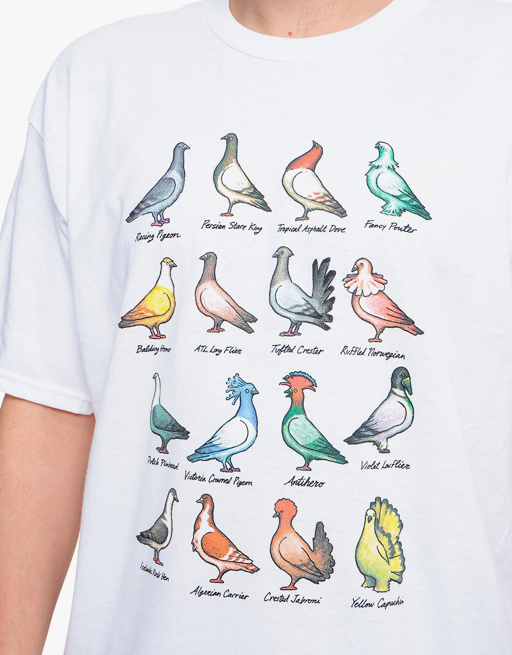 Anti Hero Show Pigeons T-Shirt - White – Route One