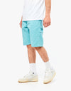 Dickies Duck Canvas Short - Stone Washed Porcelain