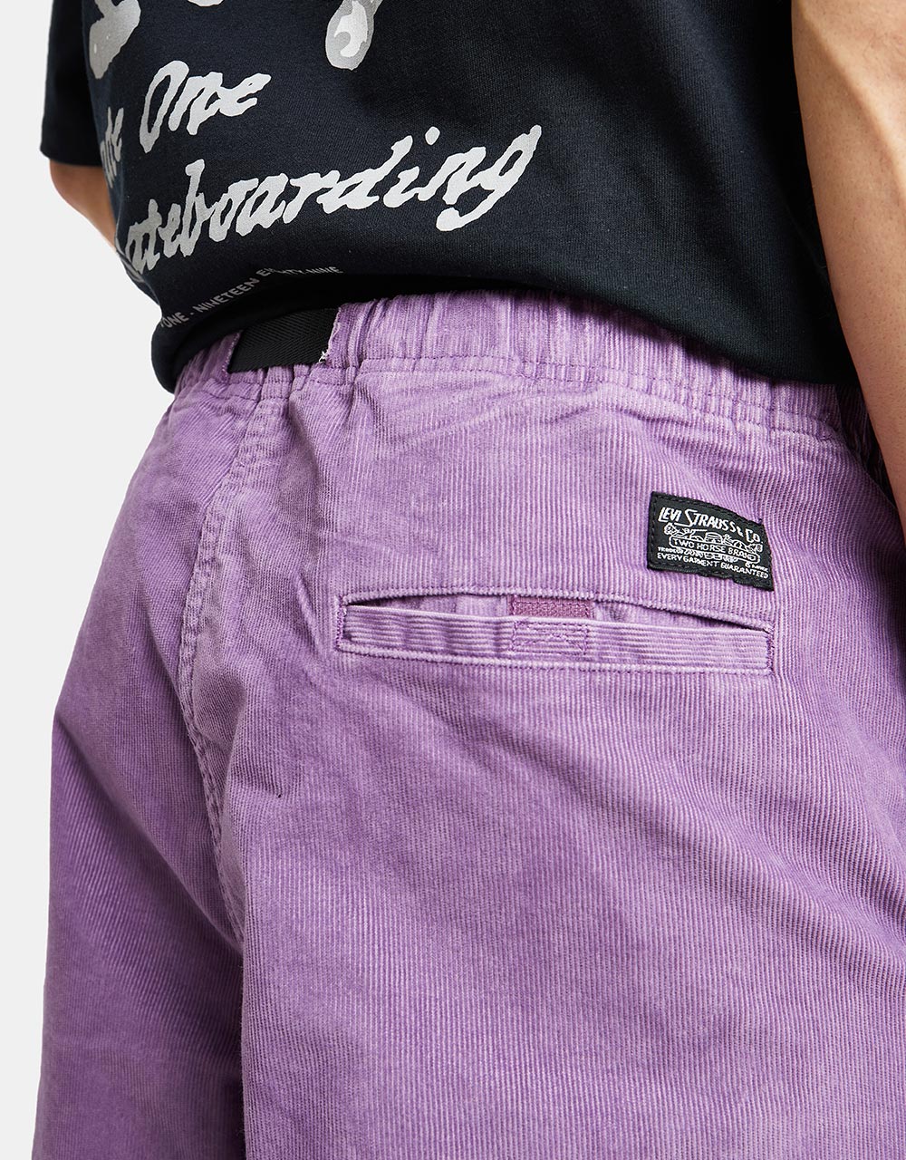 Levis Skateboarding Quick Release Pant - Chinese Violet