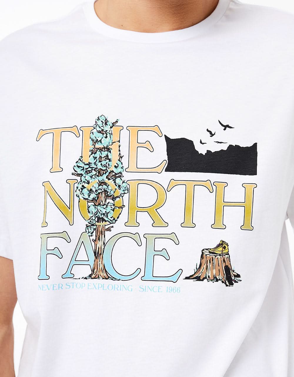 The North Face Graphic T-Shirt - TNF White (Fade)
