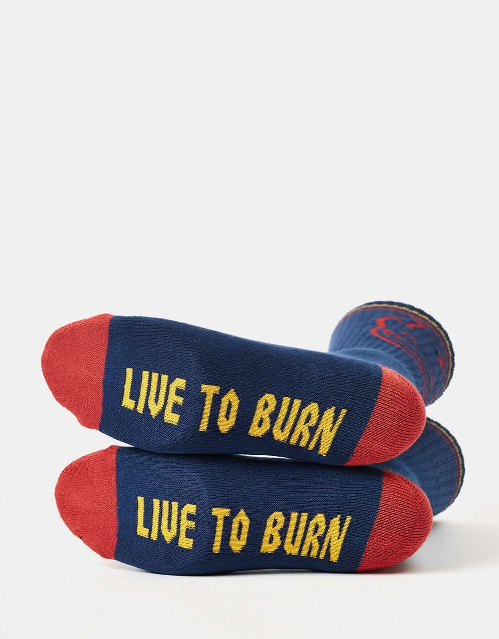 Spitfire Bighead Socks - Navy/Red/Gold