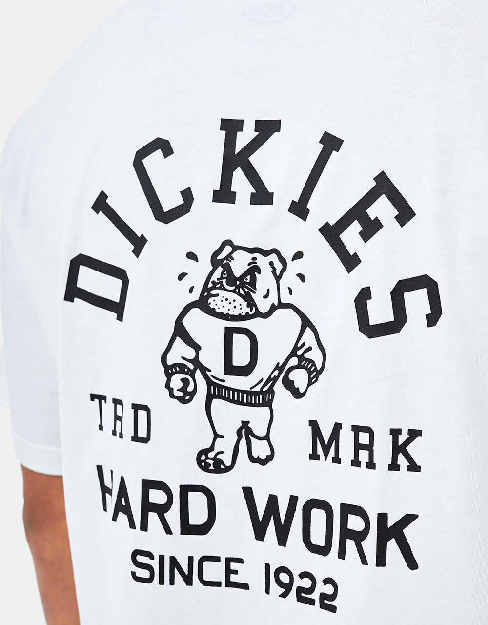 Dickies Cleveland T-Shirt - White