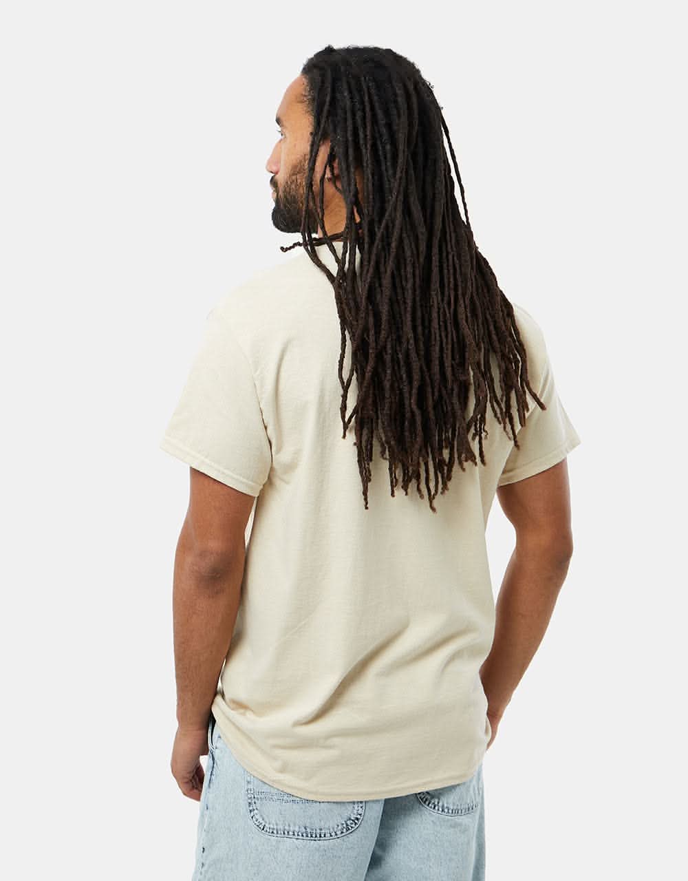 Anti Hero Eagle T-Shirt - Sand/Multi