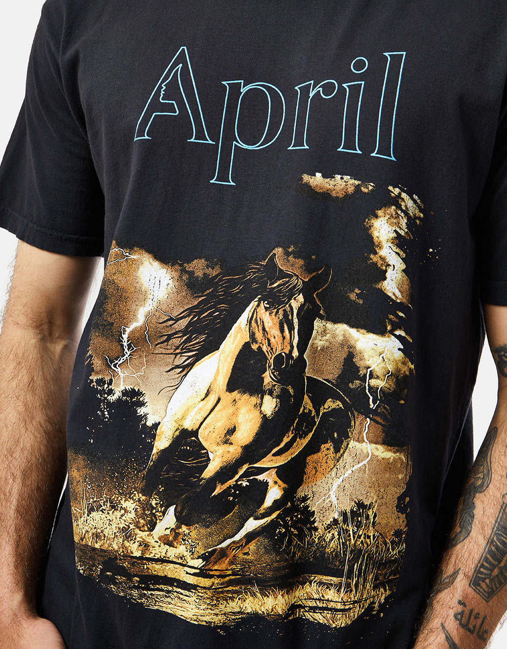 April Stallion T-Shirt - Vintage Black