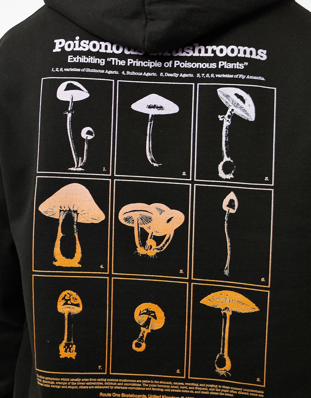 Route One Poisonous Mushrooms Pullover Hoodie - Black