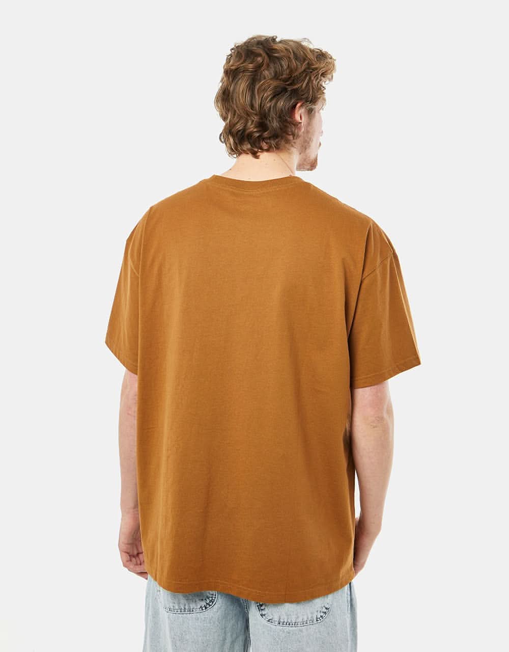 Nike SB City Info T-Shirt - Ale Brown