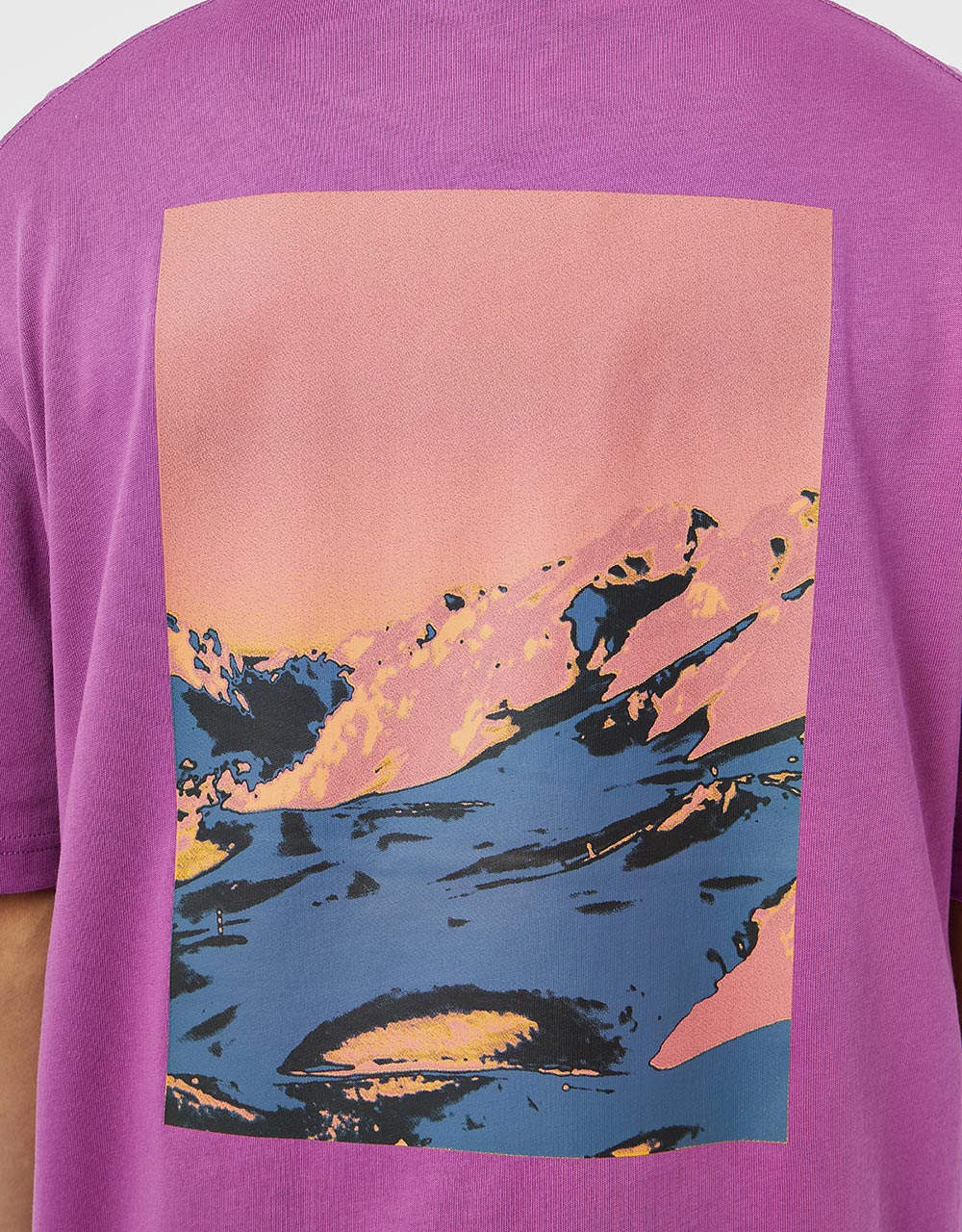 The North Face Heavy Weight Range T-Shirt - Purple Cactus Flower