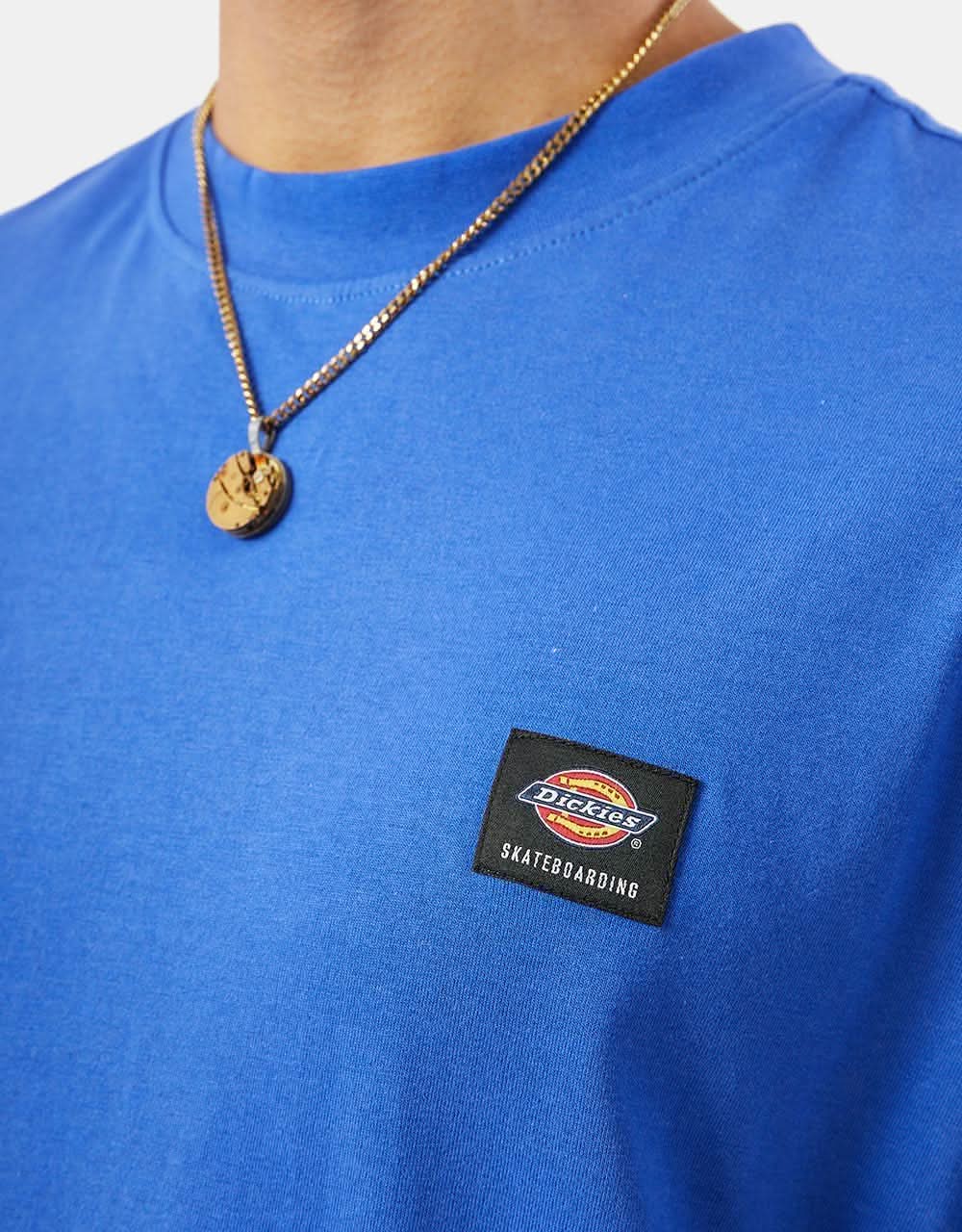 Dickies Mount Vista T-Shirt - Satin Sky