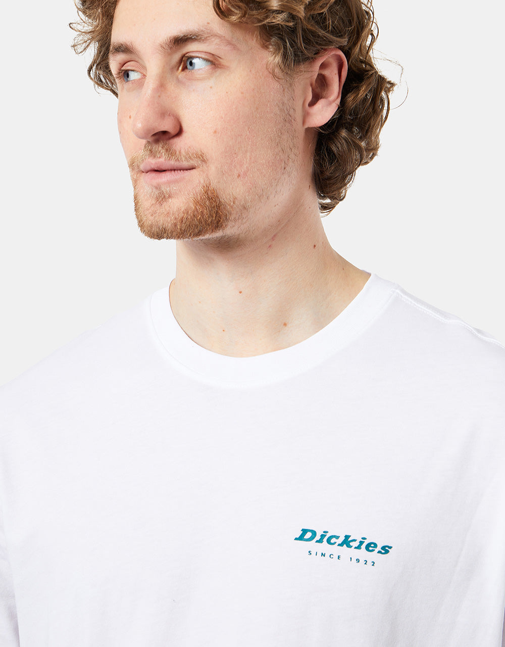Dickies Leesburg T-Shirt - White